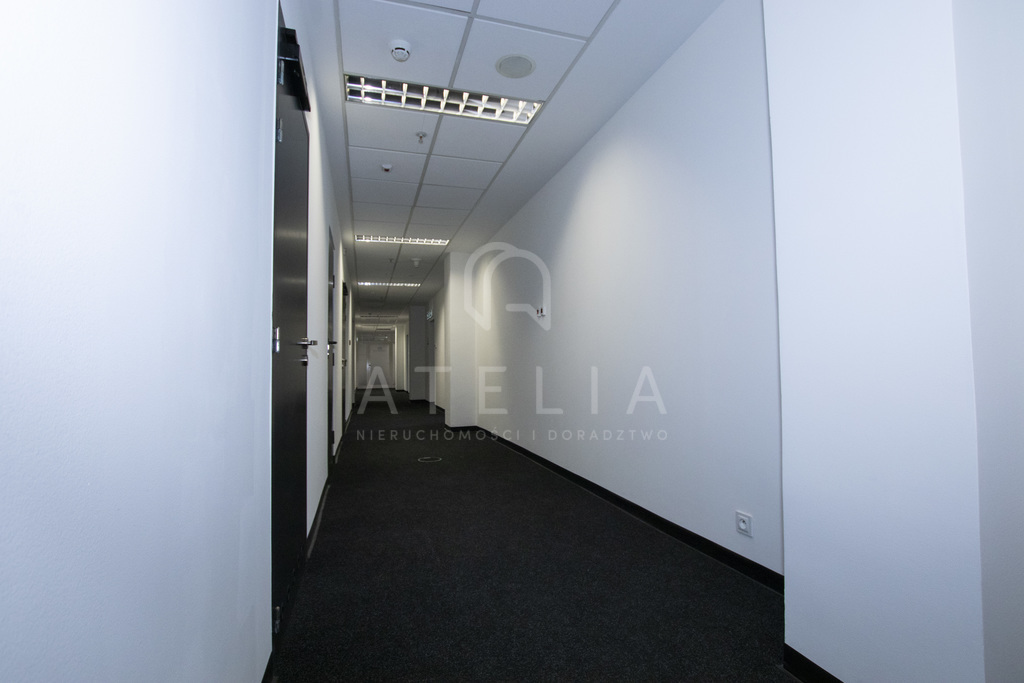 Przestrzeń biurowa do wynajęcia Centrum (7)