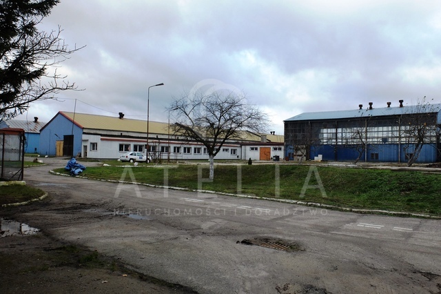 Obiekt, 630 m2, Gryfino  (2)