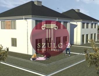 Bliźniak w Tanowie (1)