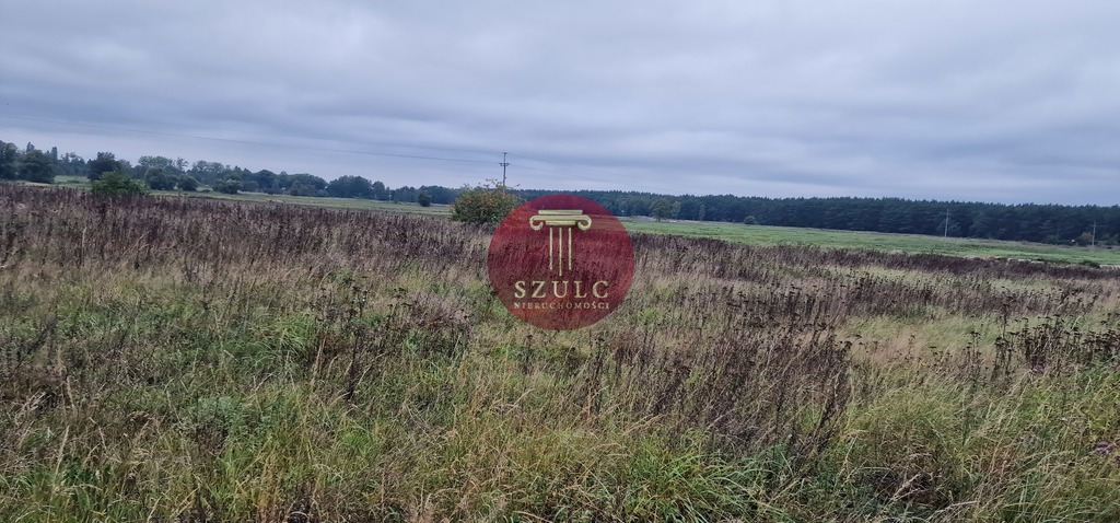 Działka z warunkami zabudowy. (1)