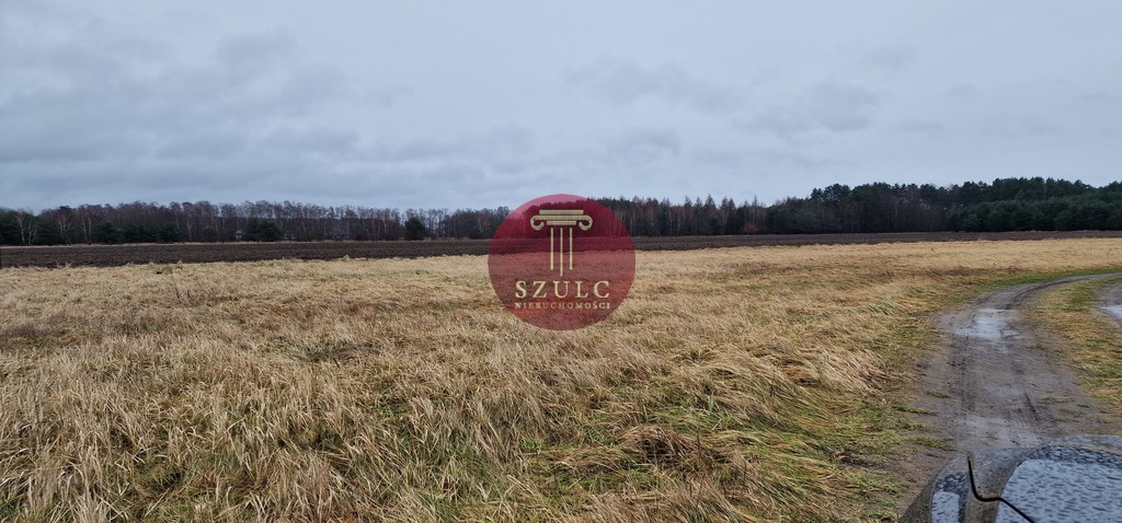 Sprzedam trzy działki w Białuniu blisko lasu. (3)