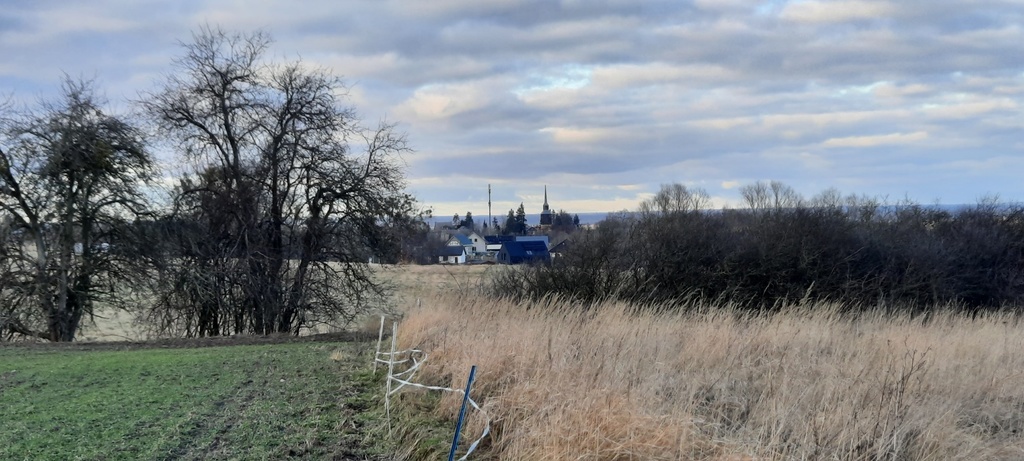 Szczecin Skolwin ul. Karpacka działka na sprzedaż. (6)