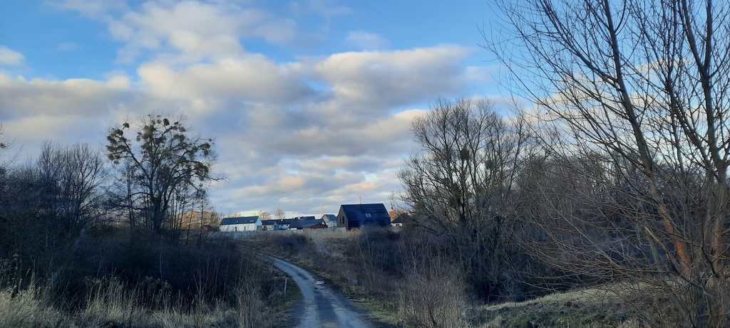 Szczecin Skolwin ul. Karpacka działka na sprzedaż. (7)