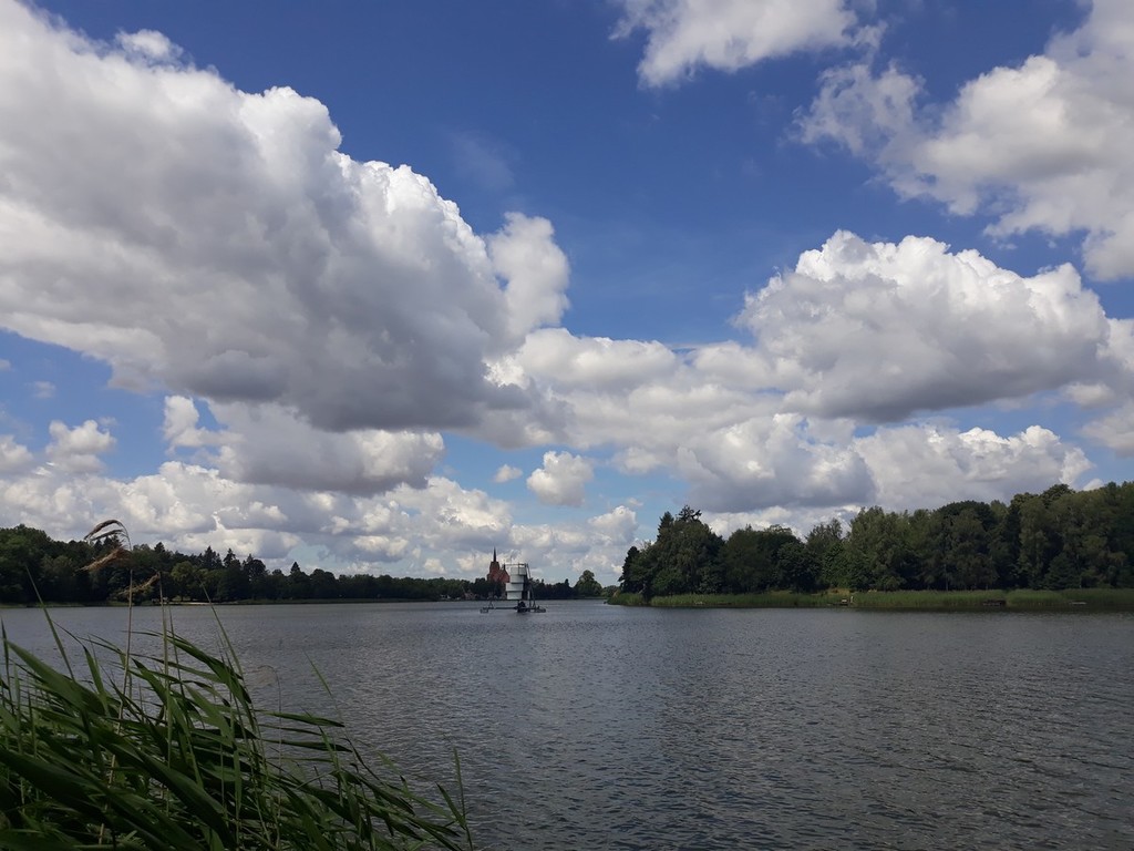 Rekreacyjna, 500 m2, Starzyce  (3)