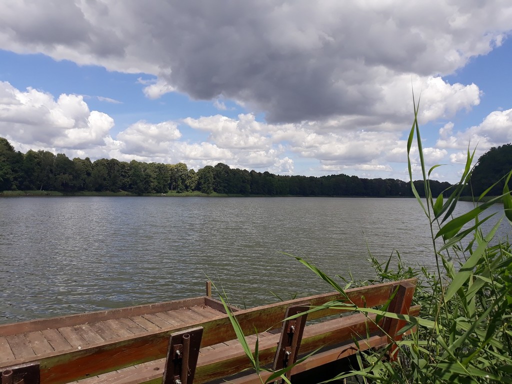 Rekreacyjna, 500 m2, Starzyce  (1)