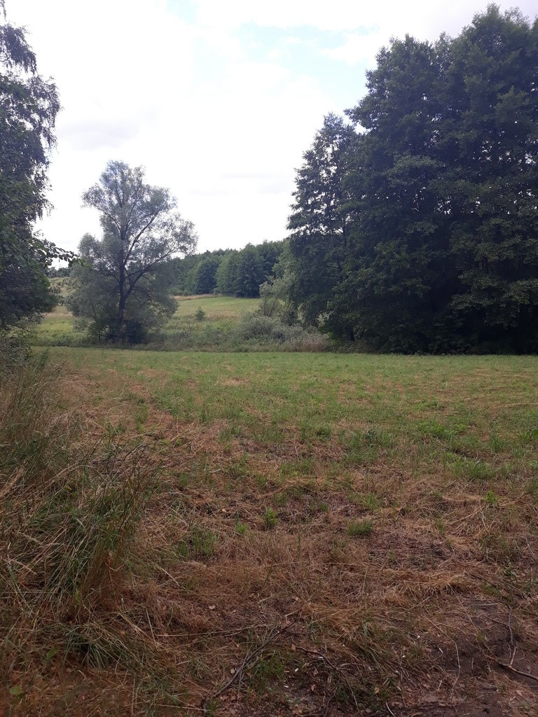 Rekreacyjna, 500 m2, Starzyce  (5)