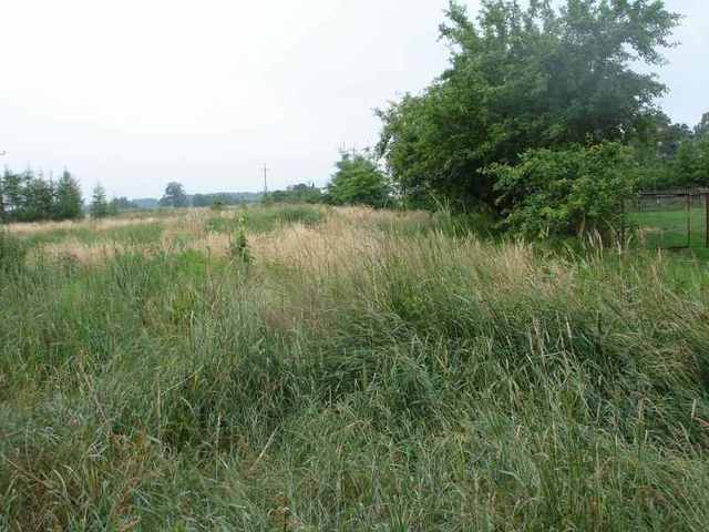 Działka, 3,000 m2, Niedźwiedź  (1)