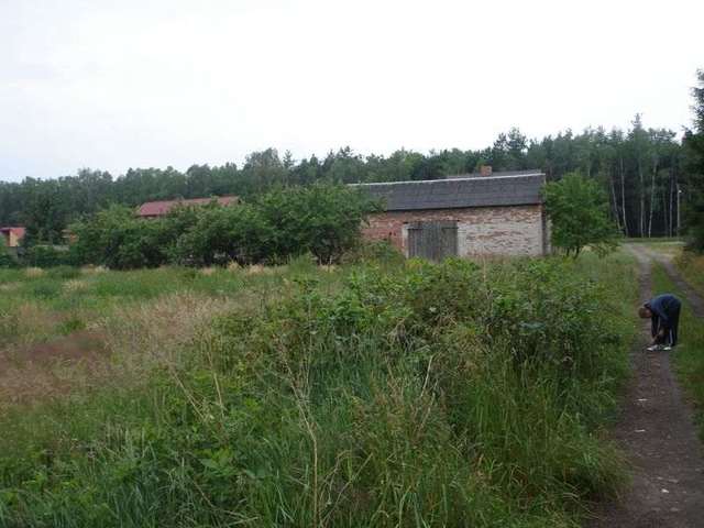 Działka, 3,000 m2, Niedźwiedź  (2)