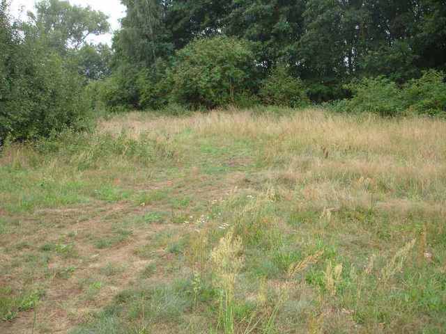 Działka, 7,500 m2, Kunowo  (1)