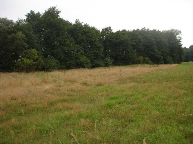 Działka, 7,500 m2, Kunowo  (2)