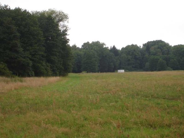 Działka, 7,500 m2, Kunowo  (3)