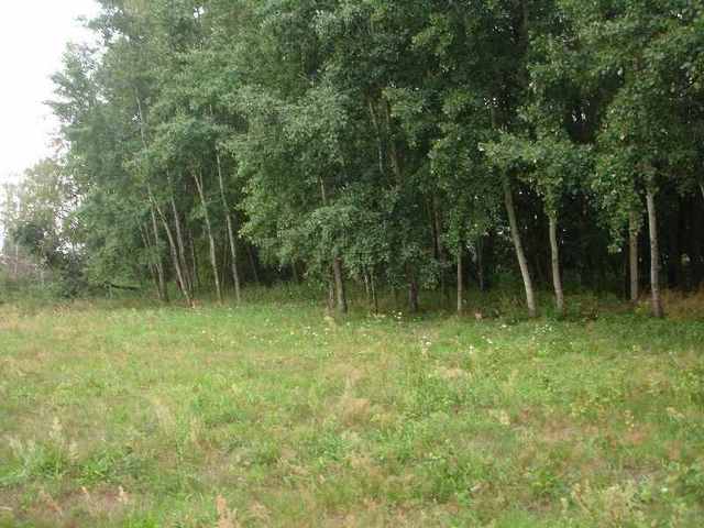 Działka, 7,500 m2, Kunowo  (5)