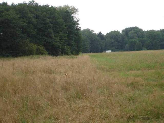 Działka, 7,500 m2, Kunowo  (6)