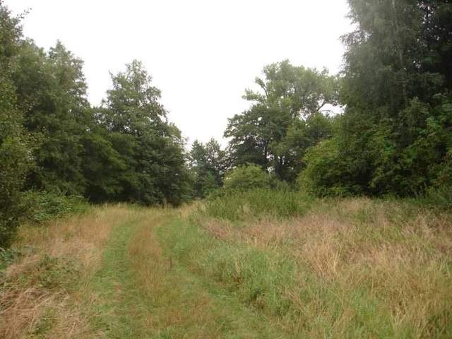 Działka, 7,500 m2, Kunowo  (7)