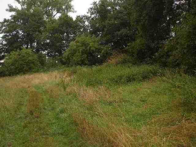 Działka, 7,500 m2, Kunowo  (8)