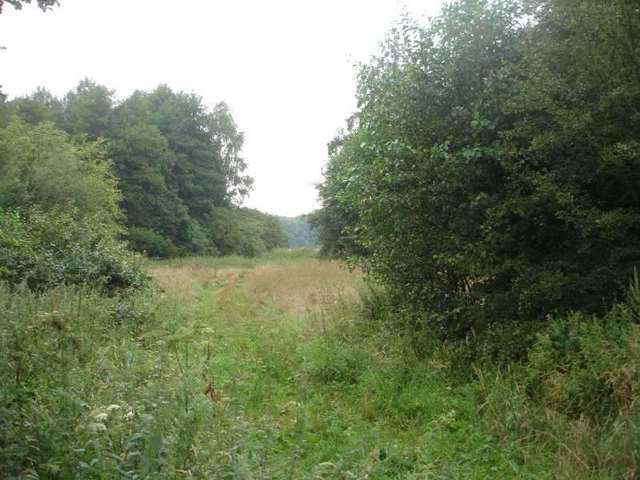 Działka, 7,500 m2, Kunowo  (9)