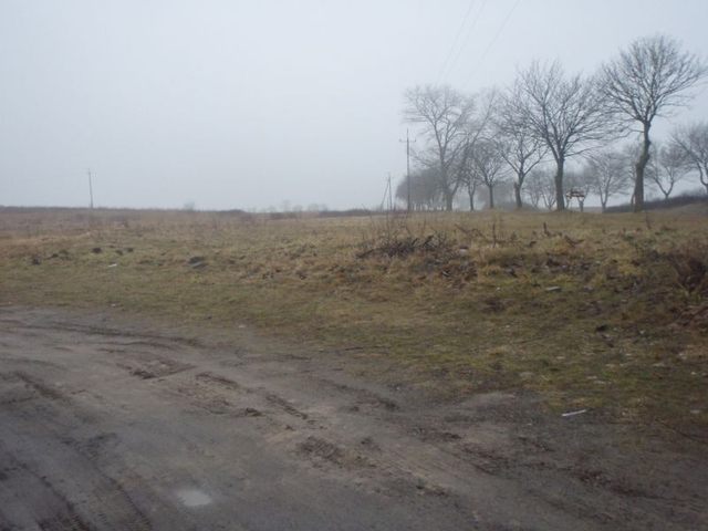 Działka, 15,000 m2, Wapnica  (1)