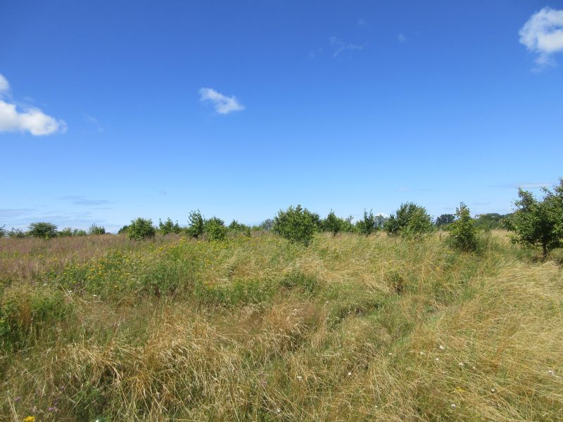 Działki nad morzem koło Rewala/Niechorza wLędzinie (4)