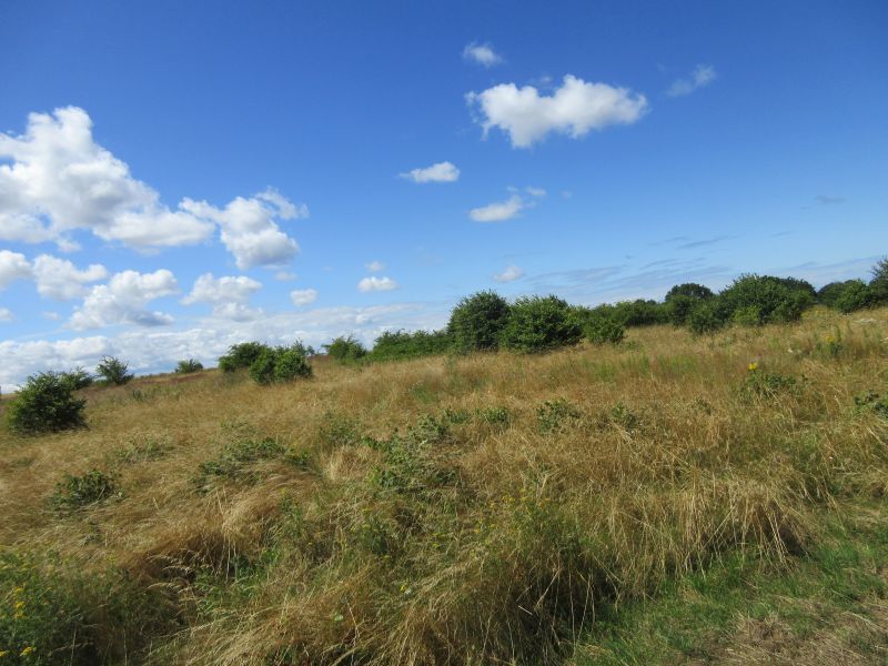 Działki nad morzem koło Rewala/Niechorza wLędzinie (7)