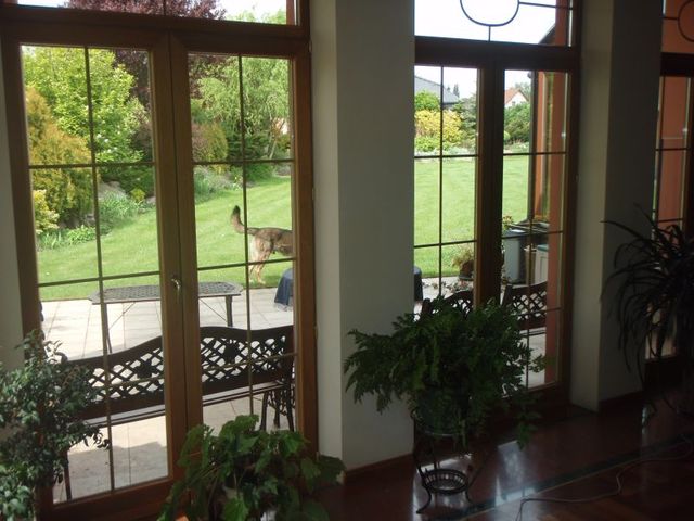 Rezydencja, 470 m2, Mierzyn  (6)