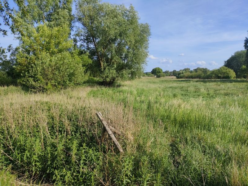 Działka komercyjna w Szczecinie Wielgowie 5181m2 (2)