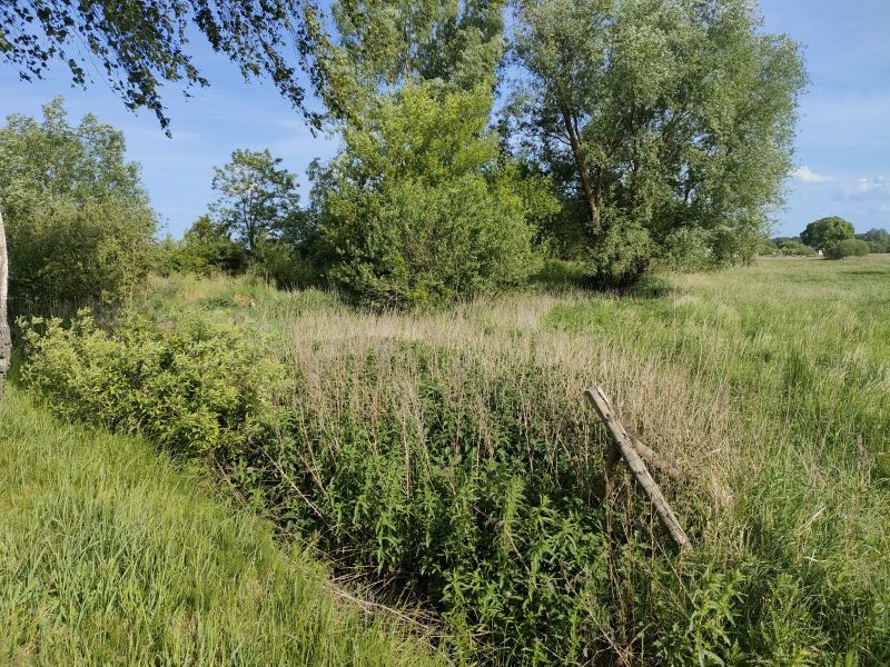 Działka komercyjna w Szczecinie Wielgowie 5181m2 (3)