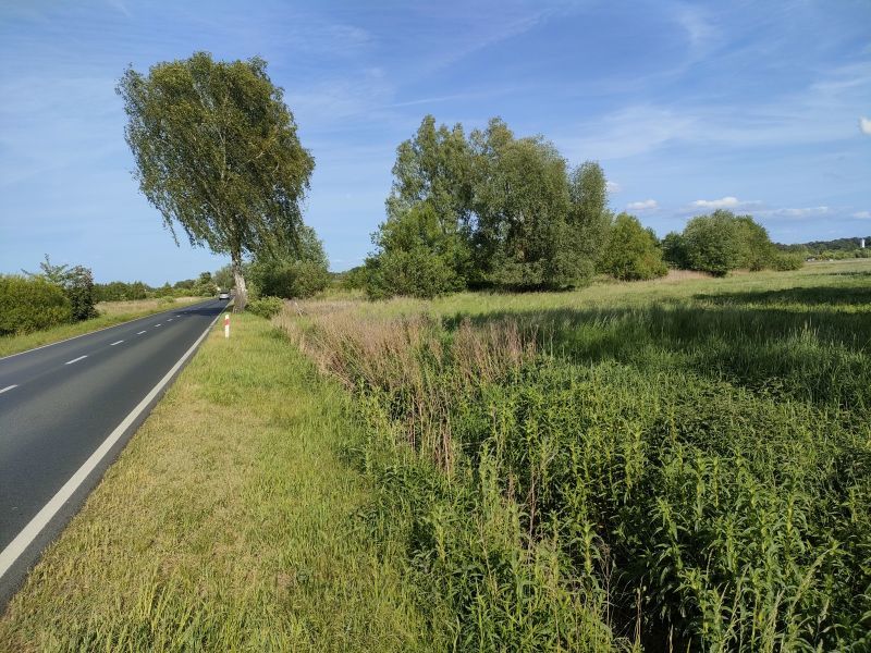 Działka komercyjna w Szczecinie Wielgowie 5181m2 (4)