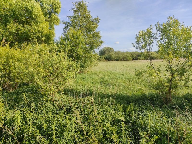 Działka komercyjna w Szczecinie Wielgowie 5181m2 (5)