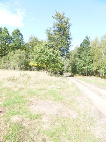 Rolna, 14,000 m2, Grzepnica  (5)