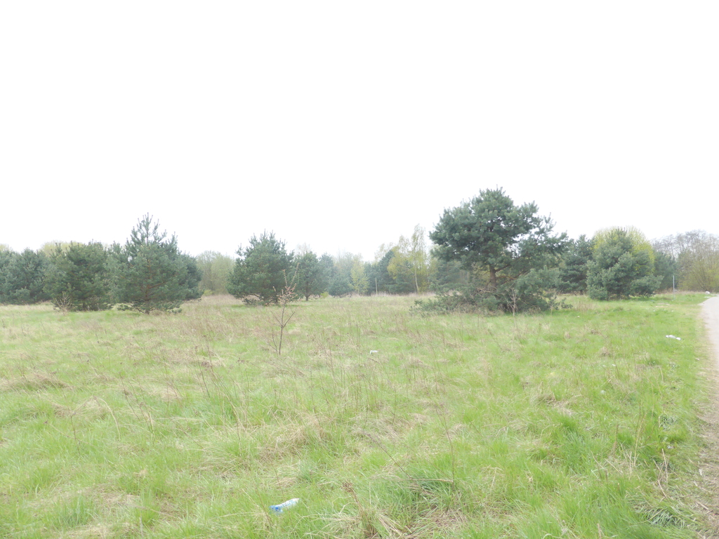 Na sprzedaż komercyjna działka gruntu (1)