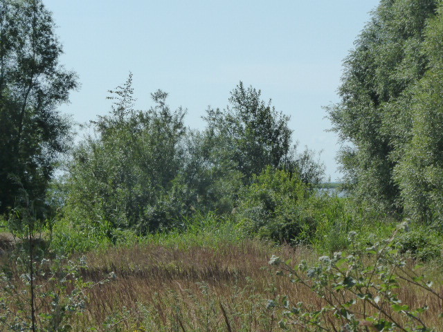 Rezydencja z dostępem do zalewu. (10)