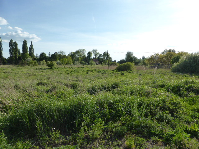 Atrakcyjna działka w Czarnej Łące. (4)