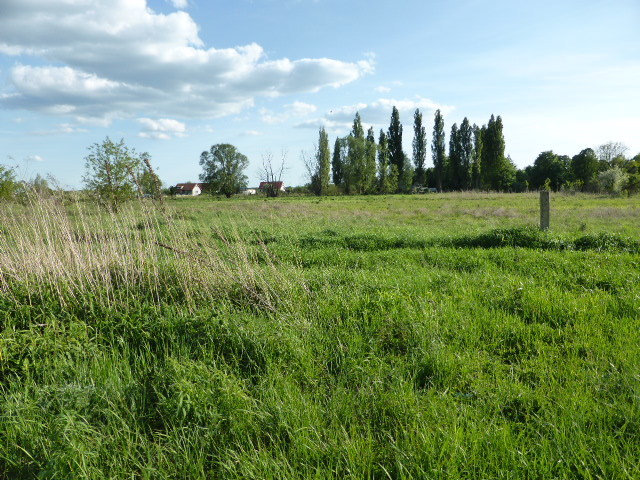 Atrakcyjna działka w Czarnej Łące. (1)