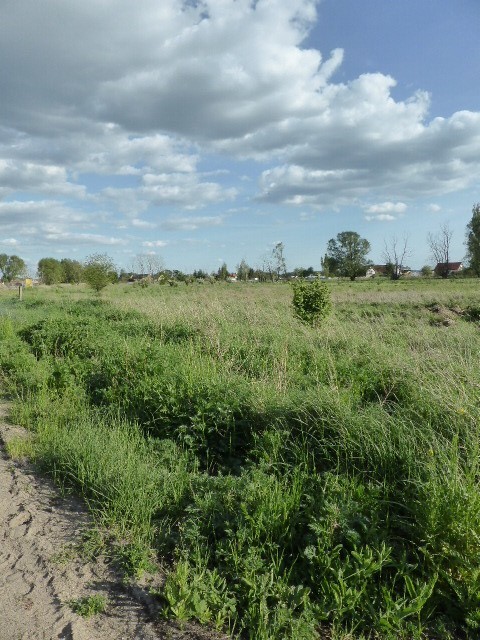 Atrakcyjna działka w Czarnej Łące. (3)