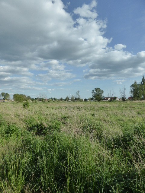 Atrakcyjna działka w Czarnej Łące. (2)