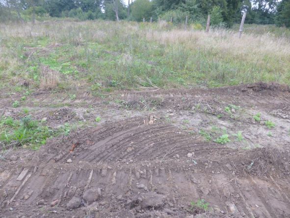 Do wynajęcia  atrakcyjna działka komercyjna. (3)