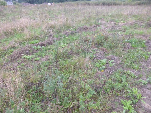 Do wynajęcia  atrakcyjna działka komercyjna. (5)