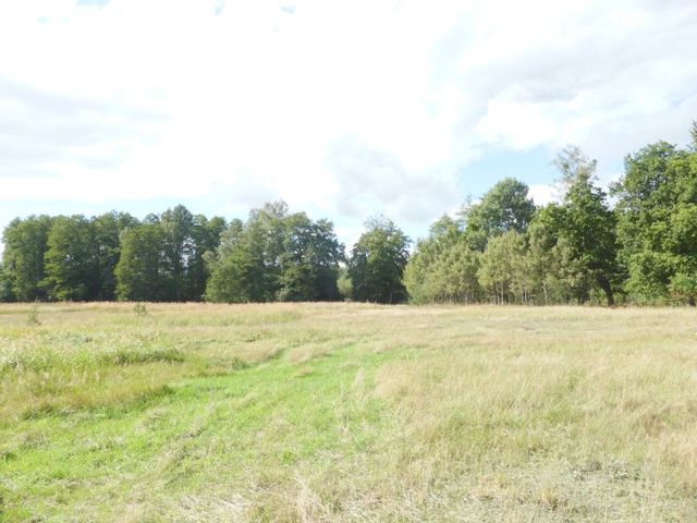 Rolna, 14,000 m2, Grzepnica  (2)