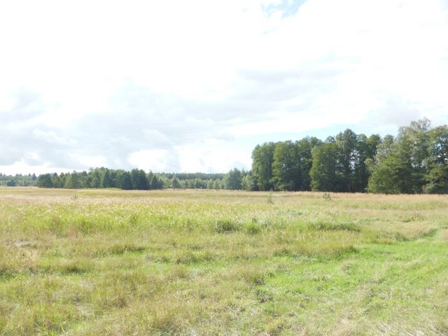 Rolna, 14,000 m2, Grzepnica  (3)