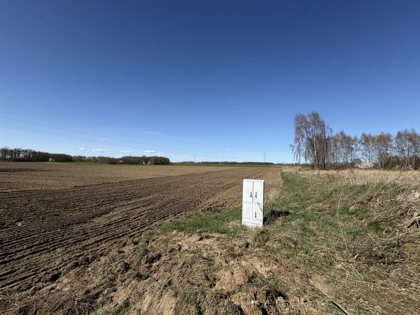 Duża działka - Parlino (2)