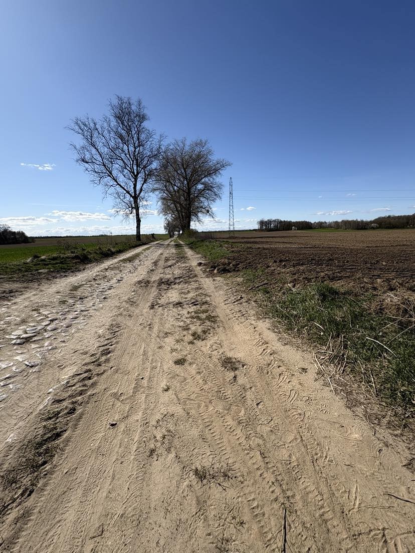 Duża działka - Parlino (6)