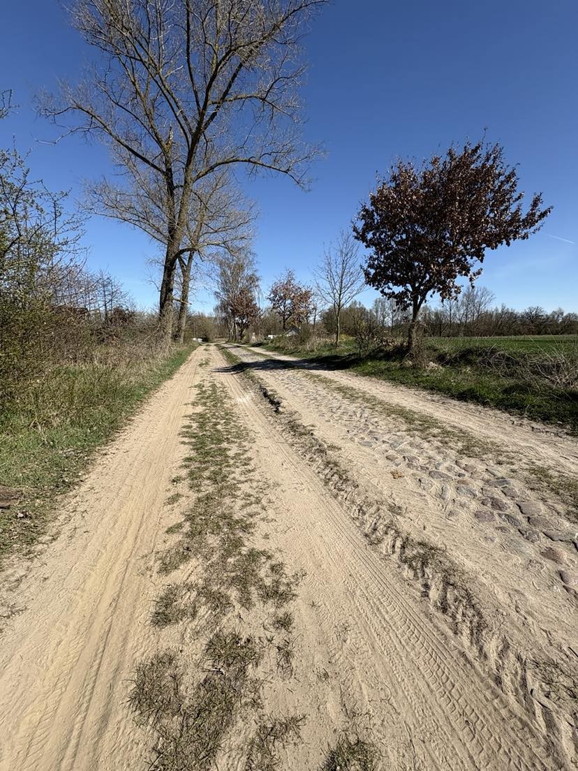 Duża działka - Parlino (7)