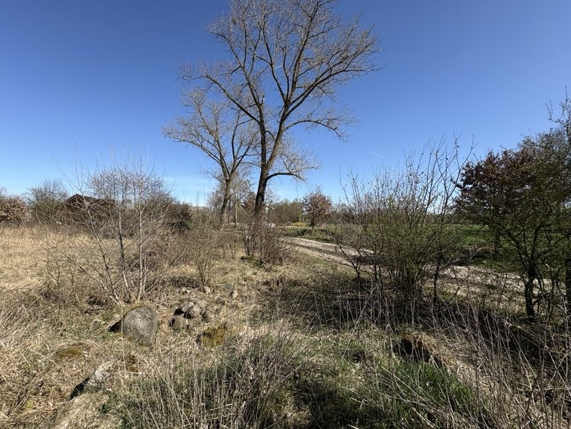 Duża działka - Parlino (5)