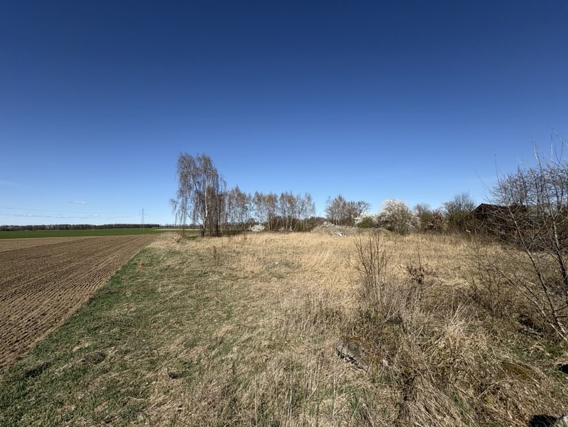 Duża działka - Parlino (1)