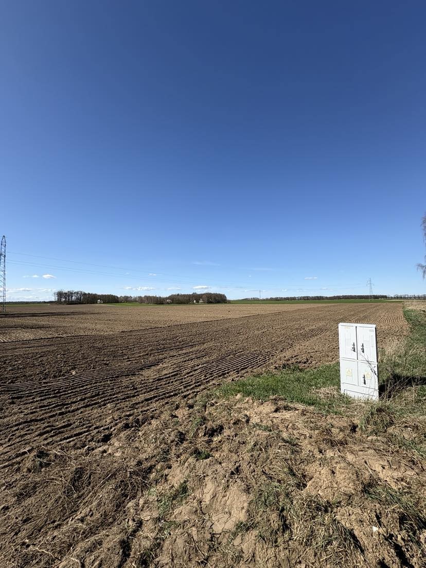 Duża działka - Parlino (3)