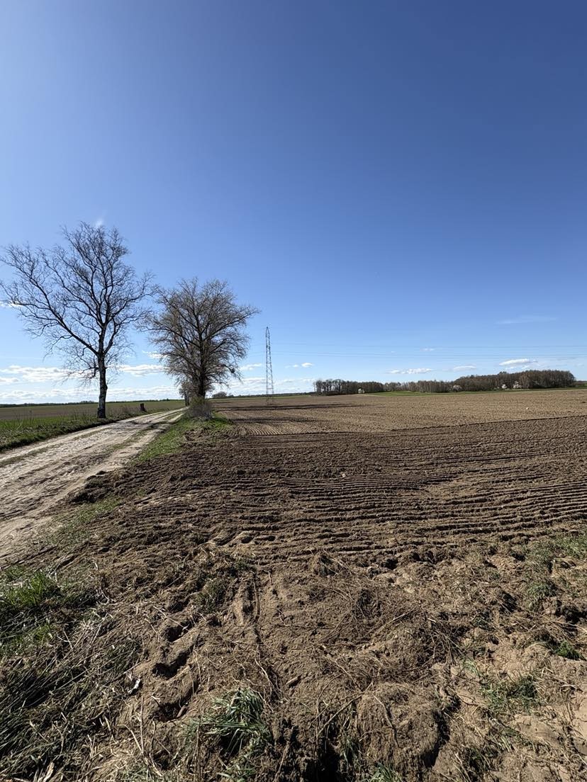 Duża działka - Parlino (4)