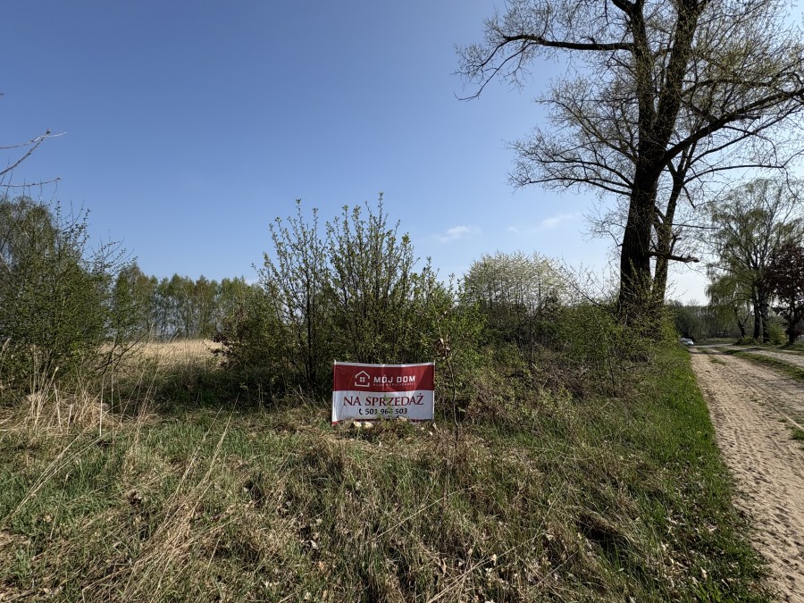 Duża działka - Parlino (8)