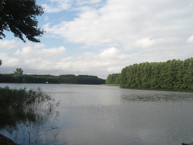 Działka, 7,800 m2, Nętno  (11)