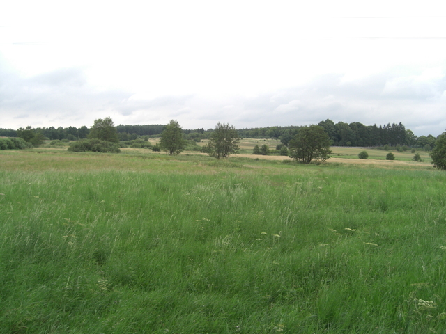 Działka, 7,800 m2, Nętno  (4)