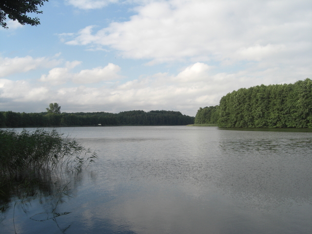 Działka, 7,800 m2, Nętno  (5)